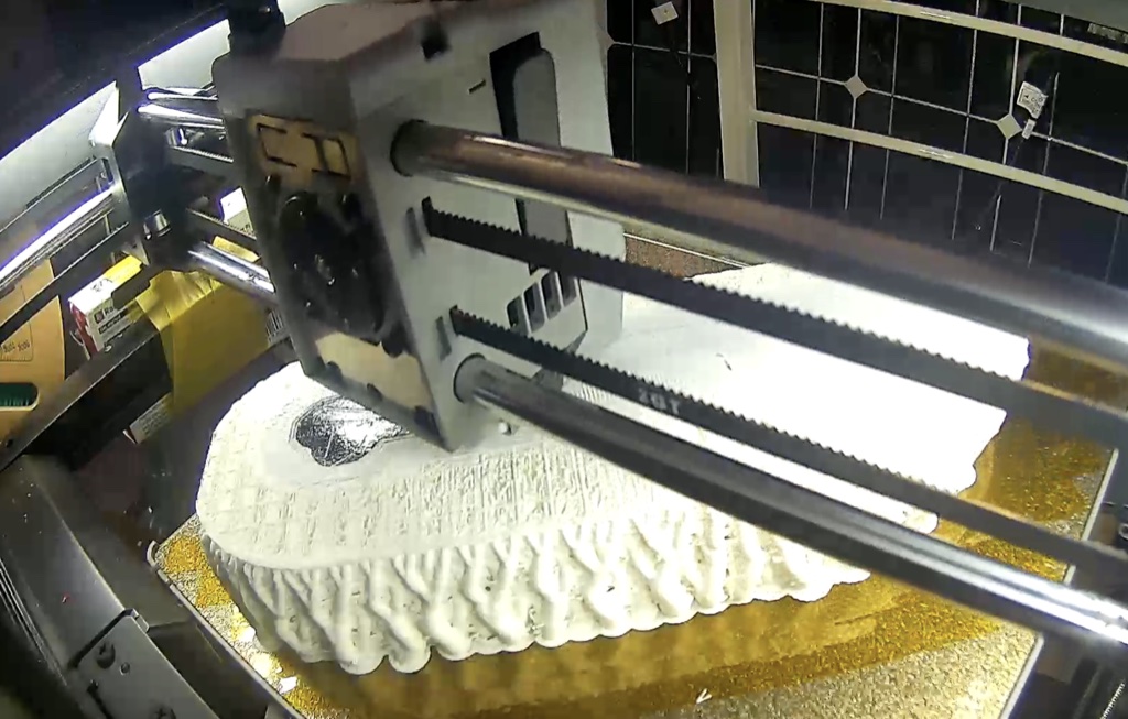 The sole print resumed with the plate embedded inside