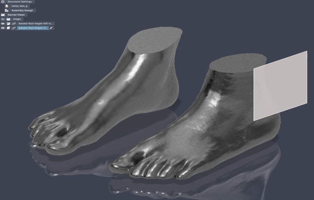 Two cleaned 3D foot models in Autodesk Fusion